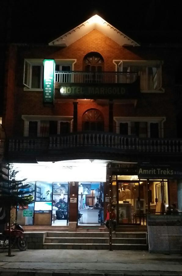 Hotel Marigold Pokhara Esterno foto